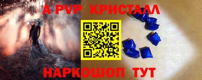 гашик Берёзовский