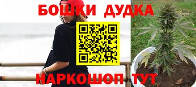 гашик Берёзовский