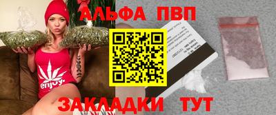 гашик Берёзовский